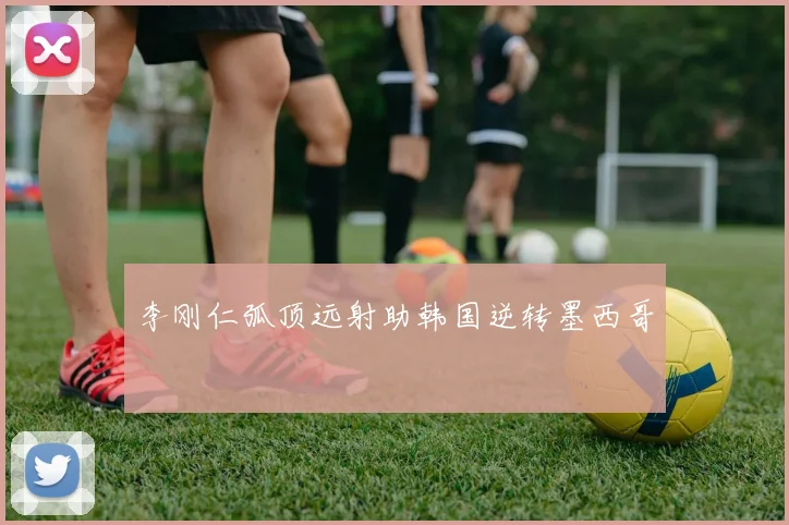 李刚仁弧顶远射助韩国逆转墨西哥