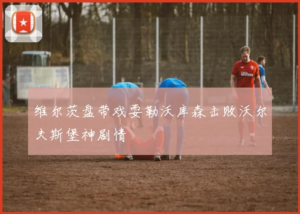 维尔茨盘带戏耍勒沃库森击败沃尔夫斯堡神剧情