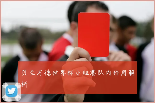 贝兰万德世界杯小组赛队内作用解析