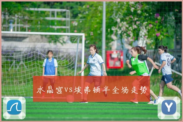水晶宫vs埃弗顿半全场走势