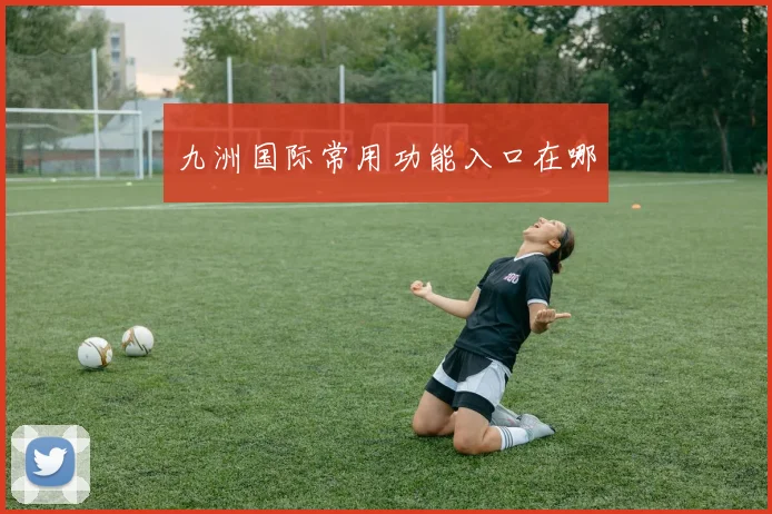 九洲国际常用功能入口在哪